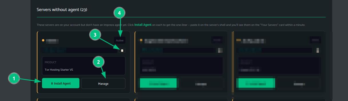 agentadv5.jpg